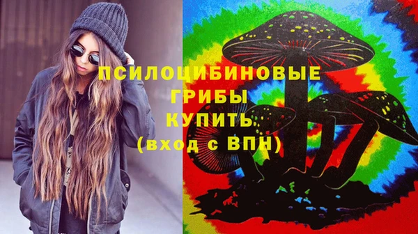 бутират Алзамай