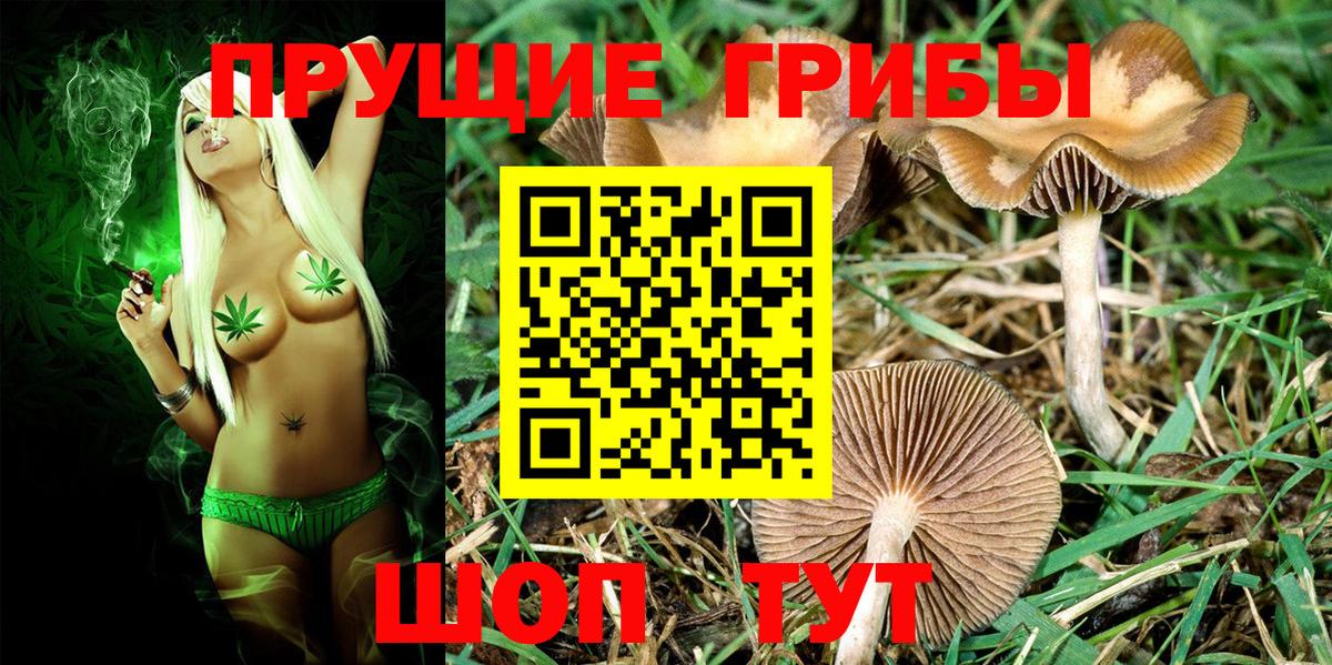 Псилоцибиновые грибы Magic Shrooms Асино