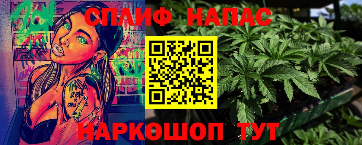 Каннабис SATIVA & INDICA Асино
