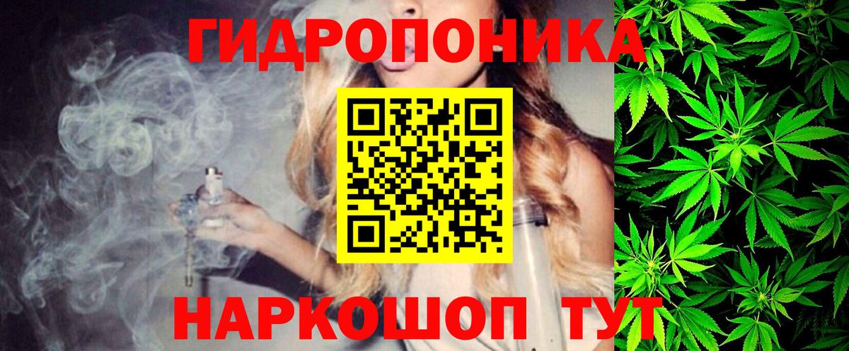 Канабис марихуана  Канабис планчик  Асино  Вход с VPN 